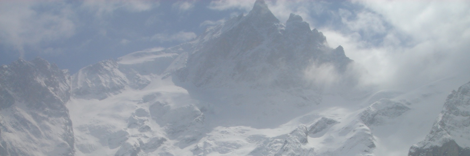 robertvdw banner
