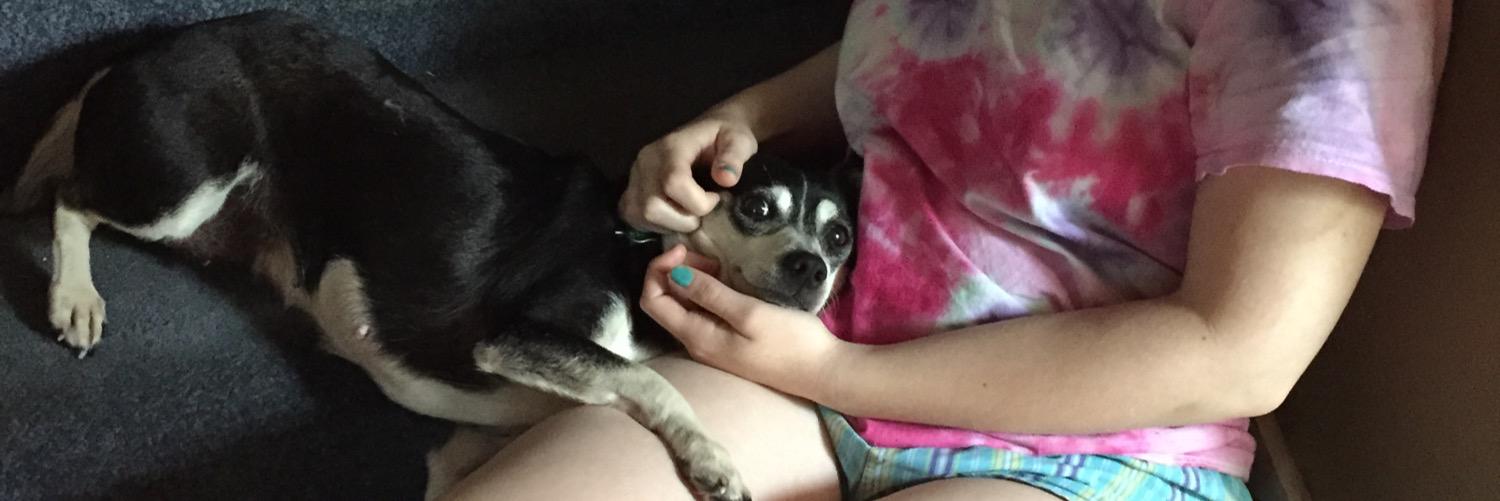 courtychelle's profile banner image