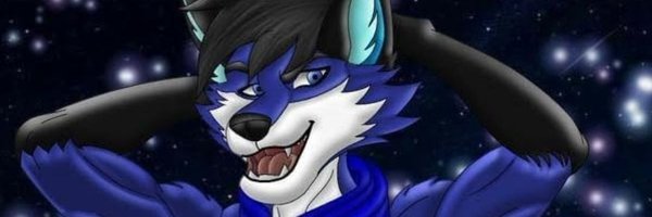 BlueWolfox03 Profile Banner