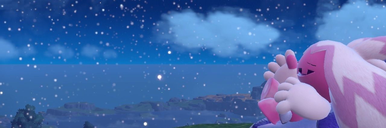 Coco's banner