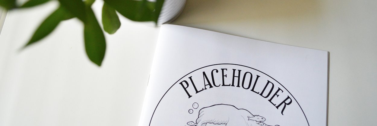 PlaceholderMag's profile banner image
