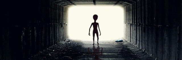 veroweiland's profile banner image