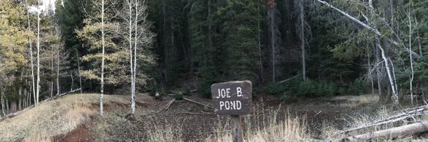 JoeBoxsley Profile Banner