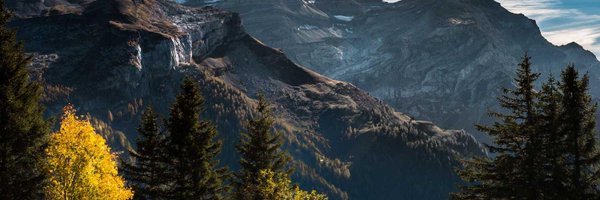 ercwlg Profile Banner