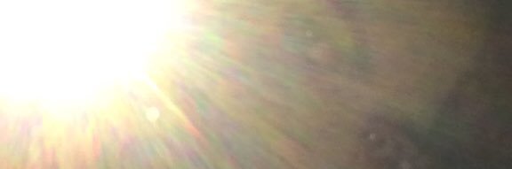 maria di lauro banner