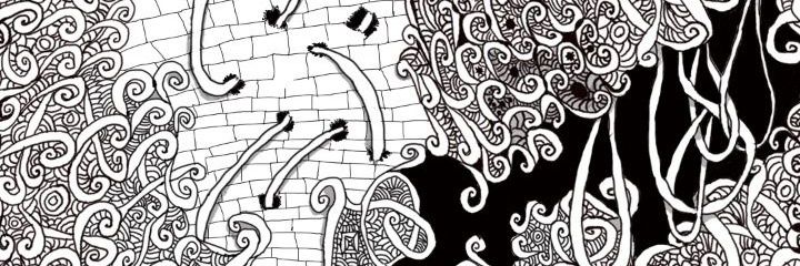 bblaaki's profile banner image