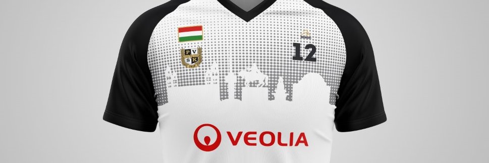 PVSK-Panthers banner