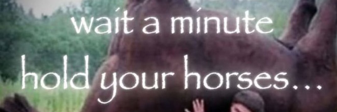 Molalocka's profile banner image