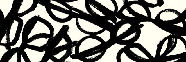 erin donahoe-rankin banner