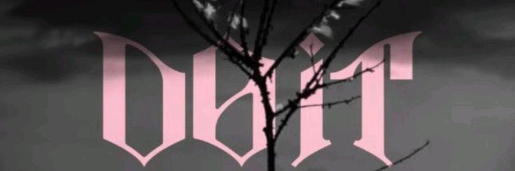 Anaseilá || ᵈᵒ ᶦᵗ banner