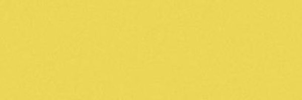 xbearbeard Profile Banner