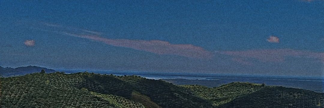 a_lekey91's profile banner image