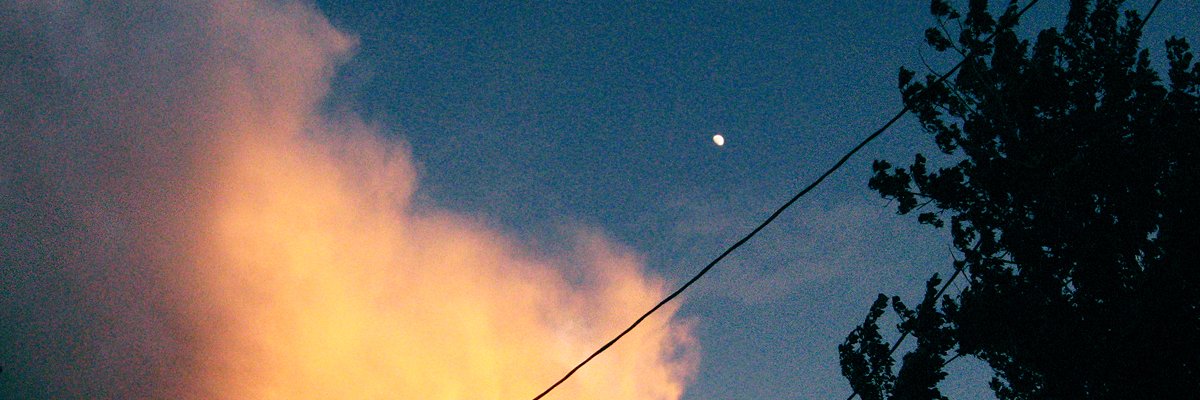 Twitter banner for @panned
