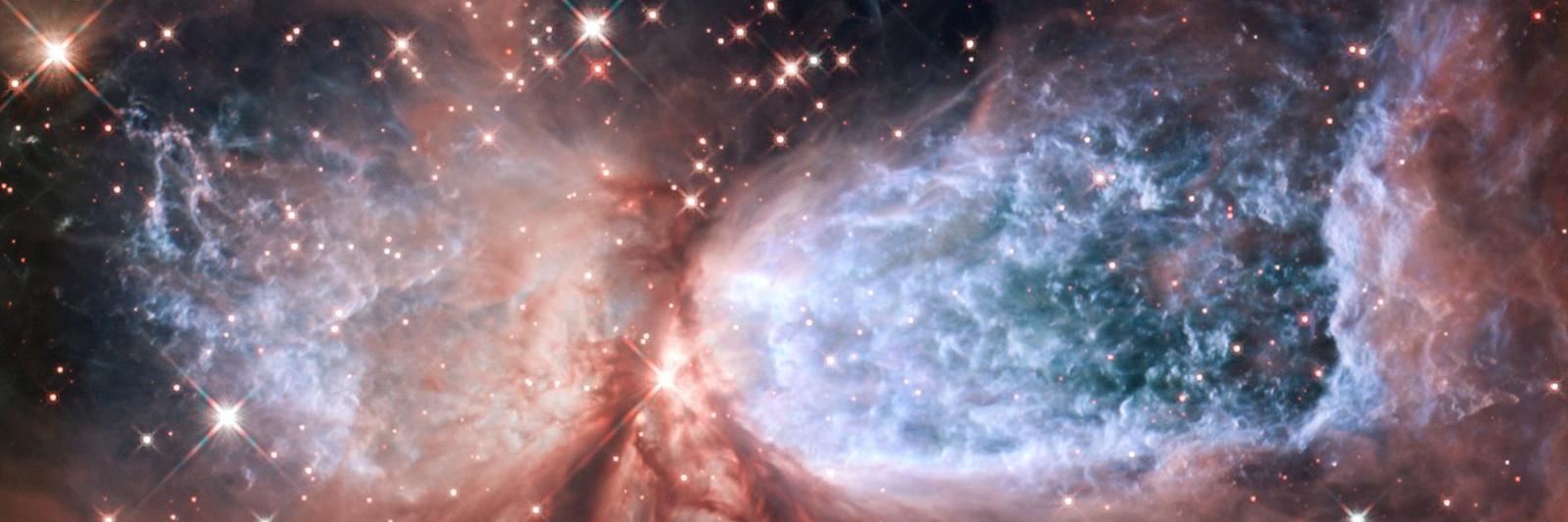 Big_Red_Dawg_Dallas banner