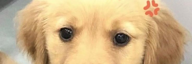 chaa_pq's profile banner image