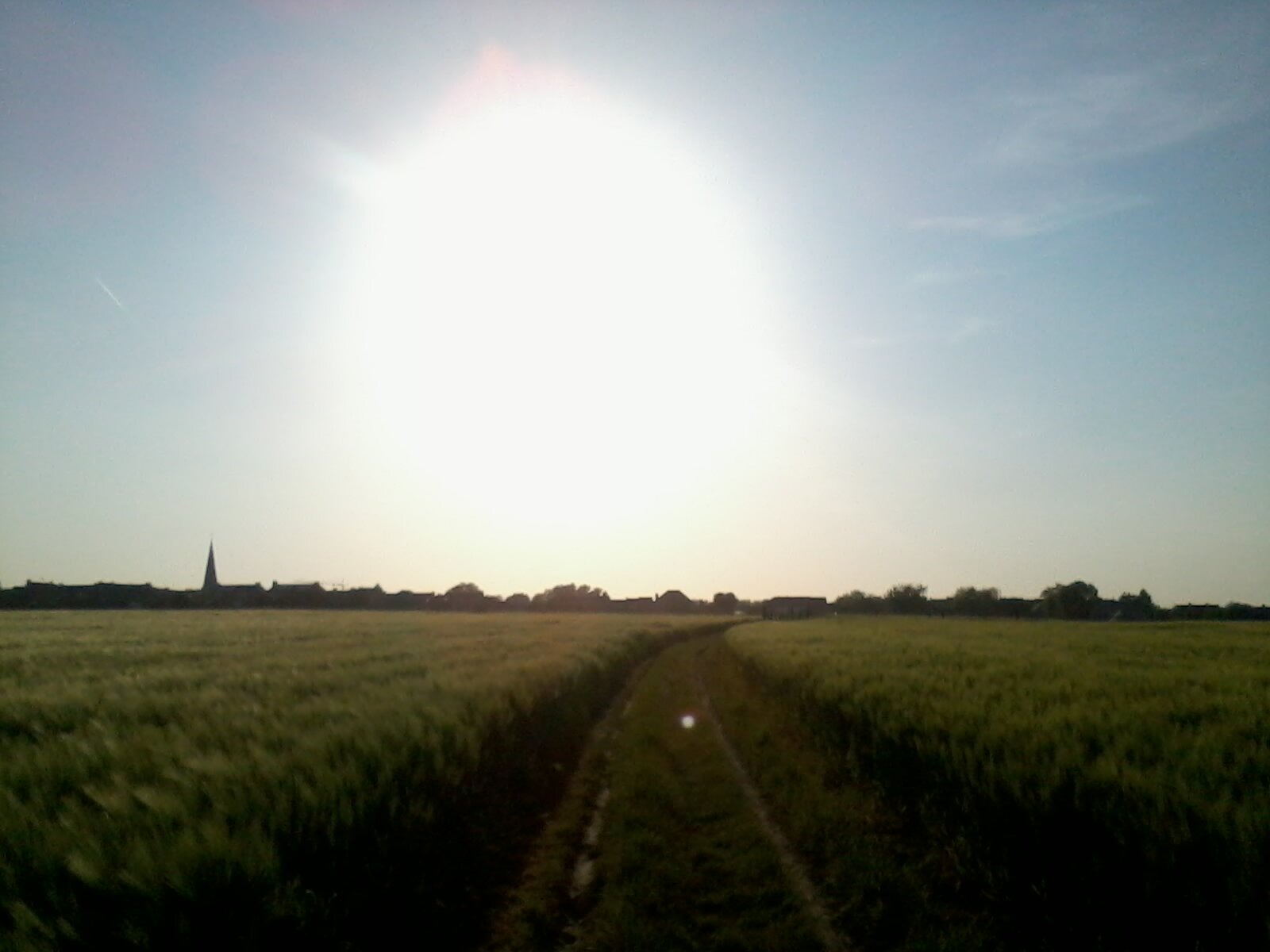 FreSche's profile banner image