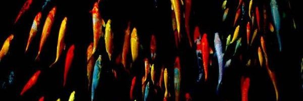 BasabJha_'s profile banner image