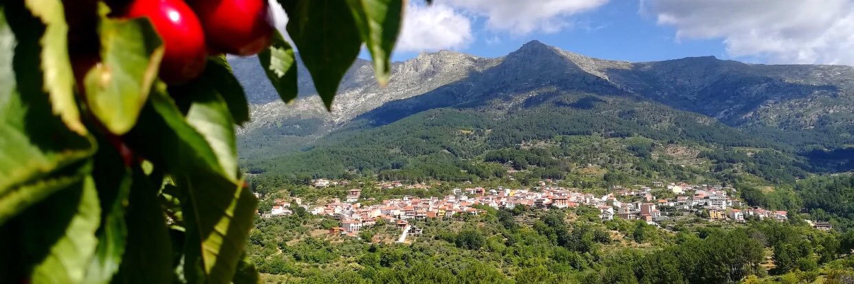 svinuesa's profile banner image