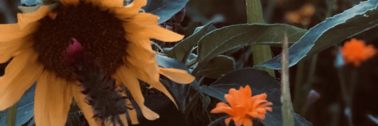 Quindytje's profile banner image