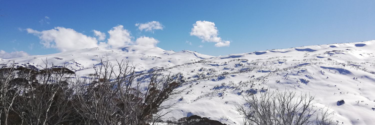 nottooldforthis's profile banner image