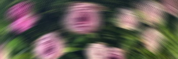 SmilingSages Profile Banner