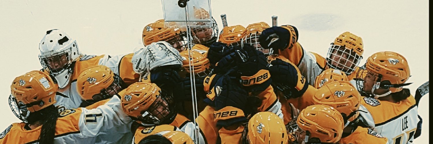 Kahlie Singletary banner