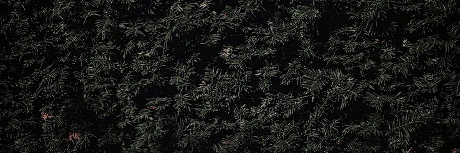 ysleeeeee's profile banner image