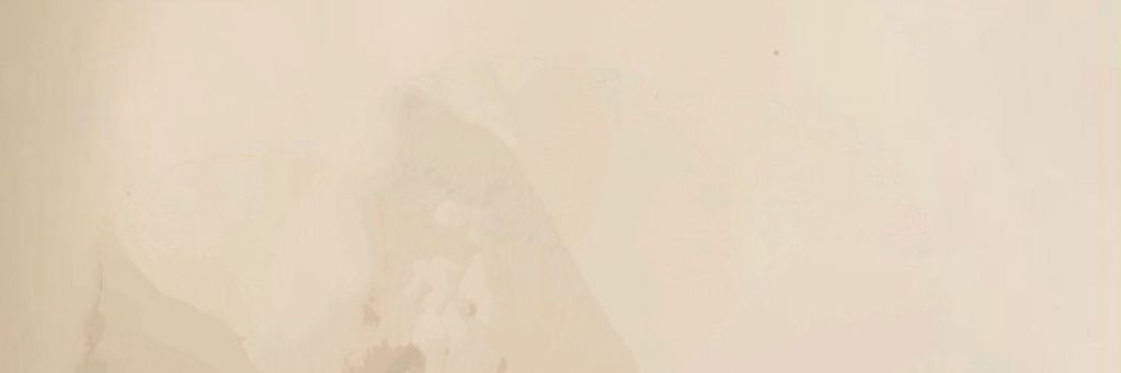 annida banner