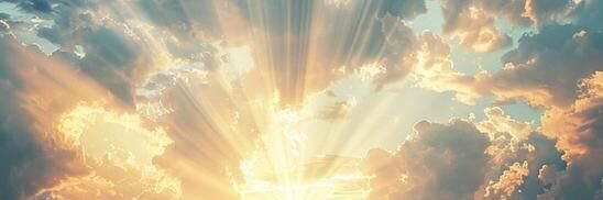 spidercat_. banner