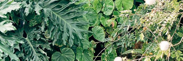 opnprnme Profile Banner