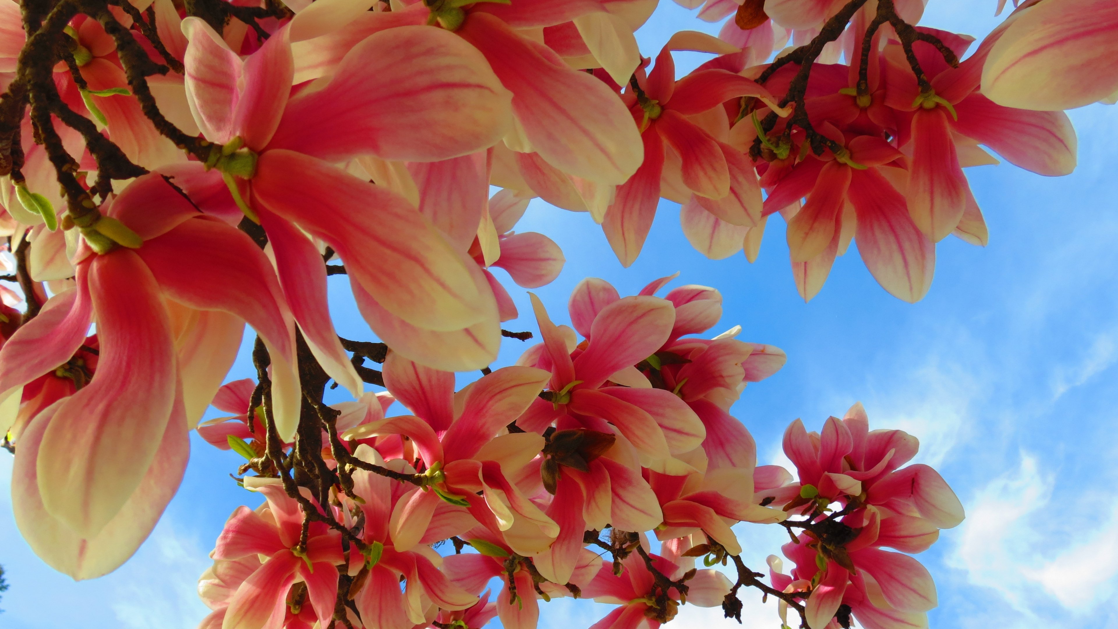 tweetsPM's profile banner image