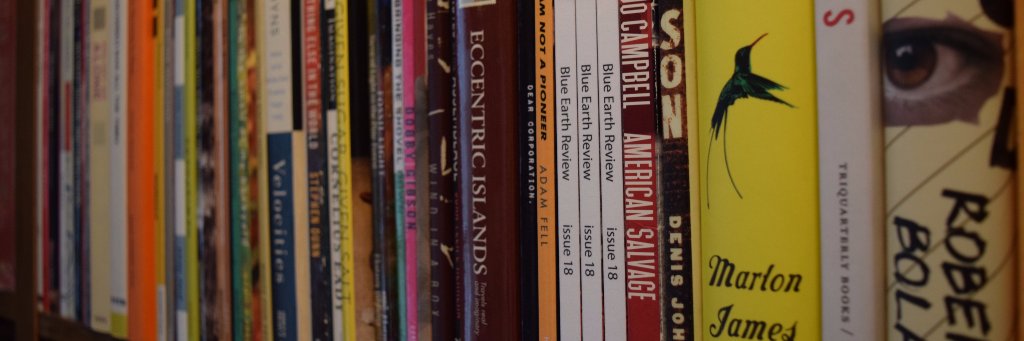 Blue Earth Review banner