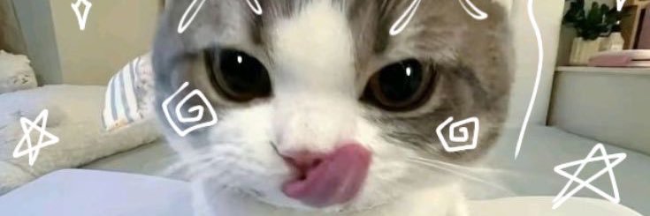 _danielstuff_'s profile banner image