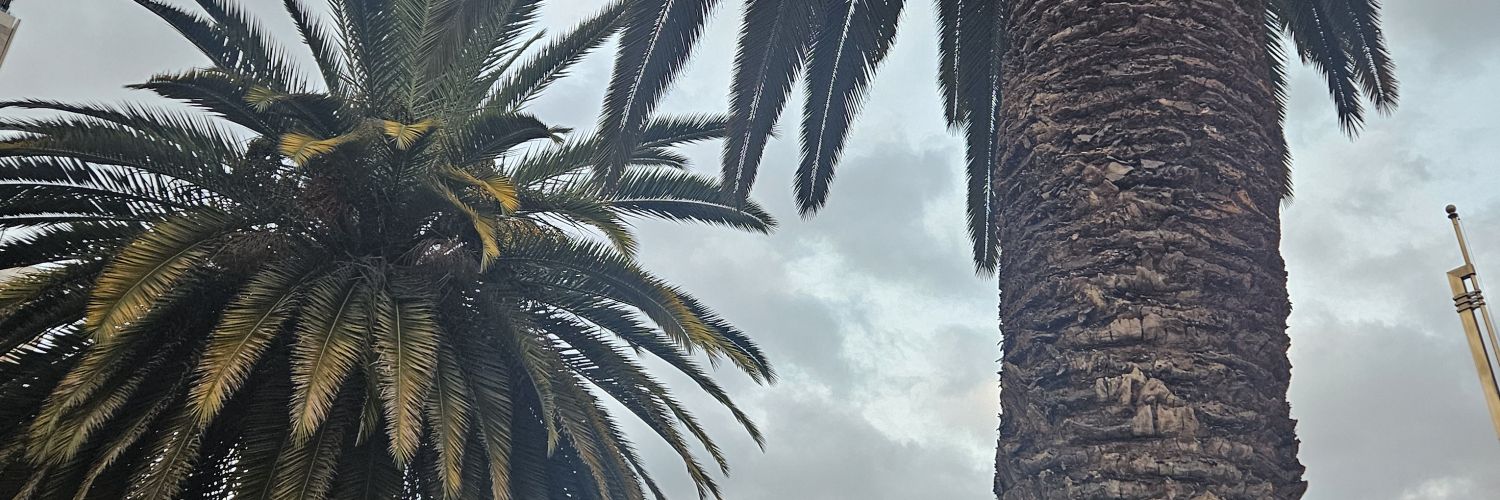 -xel~let's go gurls! banner