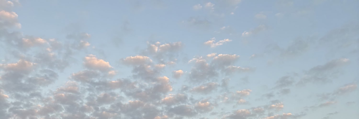 RNsarah03's profile banner image