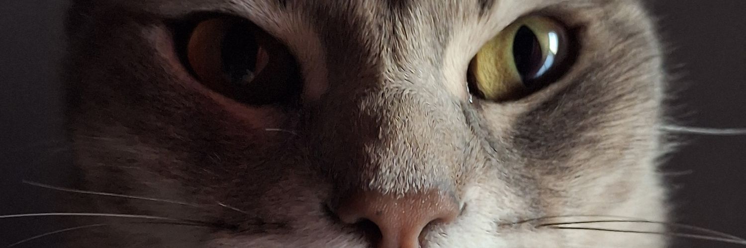 Bordon_ok's profile banner image