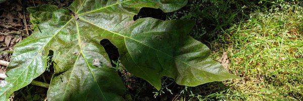 GameMasterJay Profile Banner