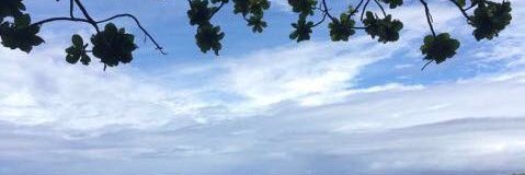 mellachavez's profile banner image