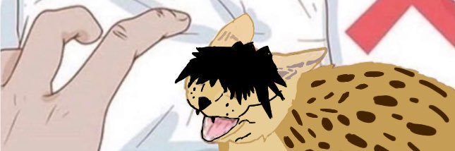 Dante🇵🇷🇵🇸 banner