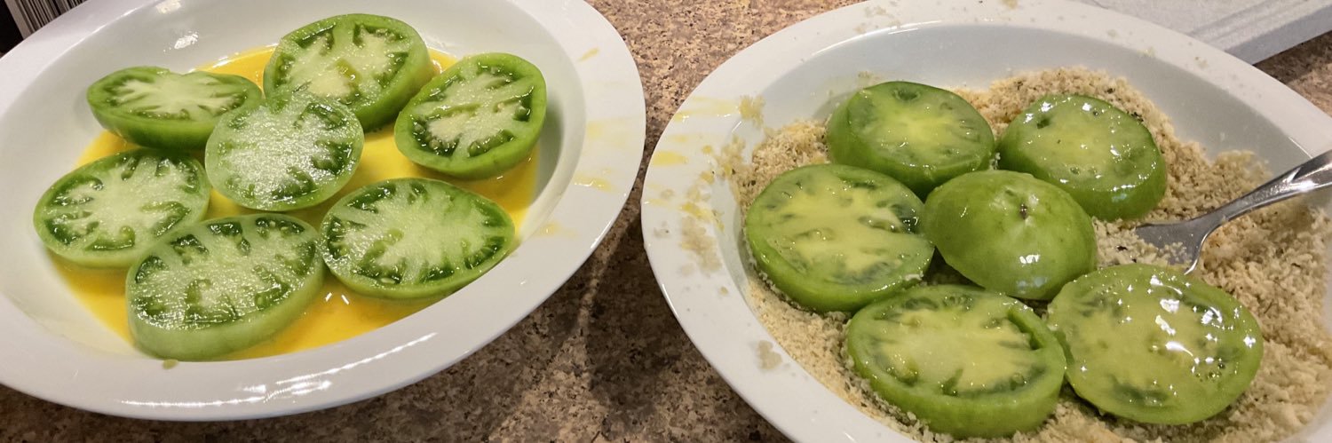 Suzanne Alejandre banner