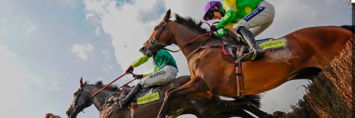 The RacingBlagger's banner