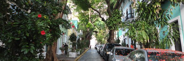 SilviaRGelbes Profile Banner