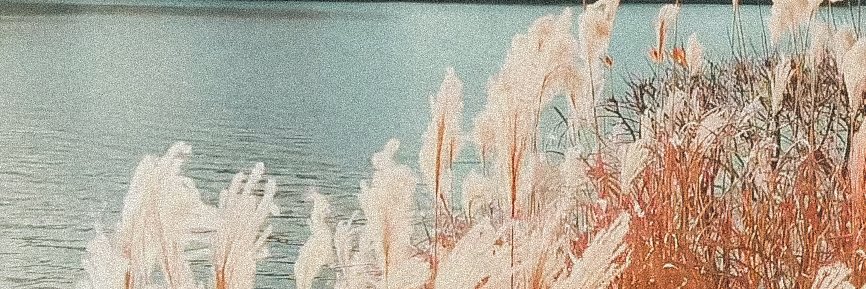 noneofoenon's profile banner image