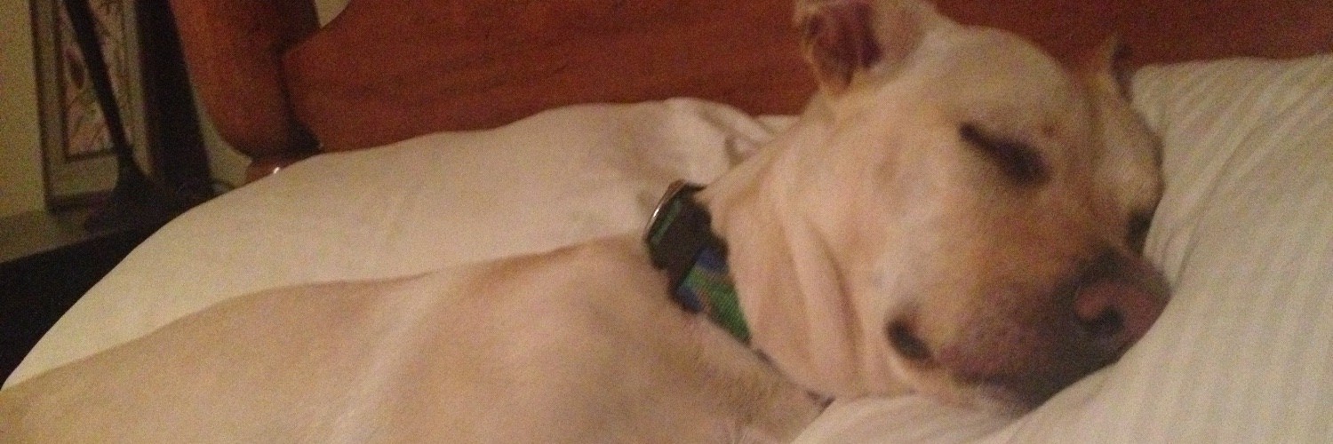 Butters rogers banner