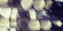ssprangs's profile banner image