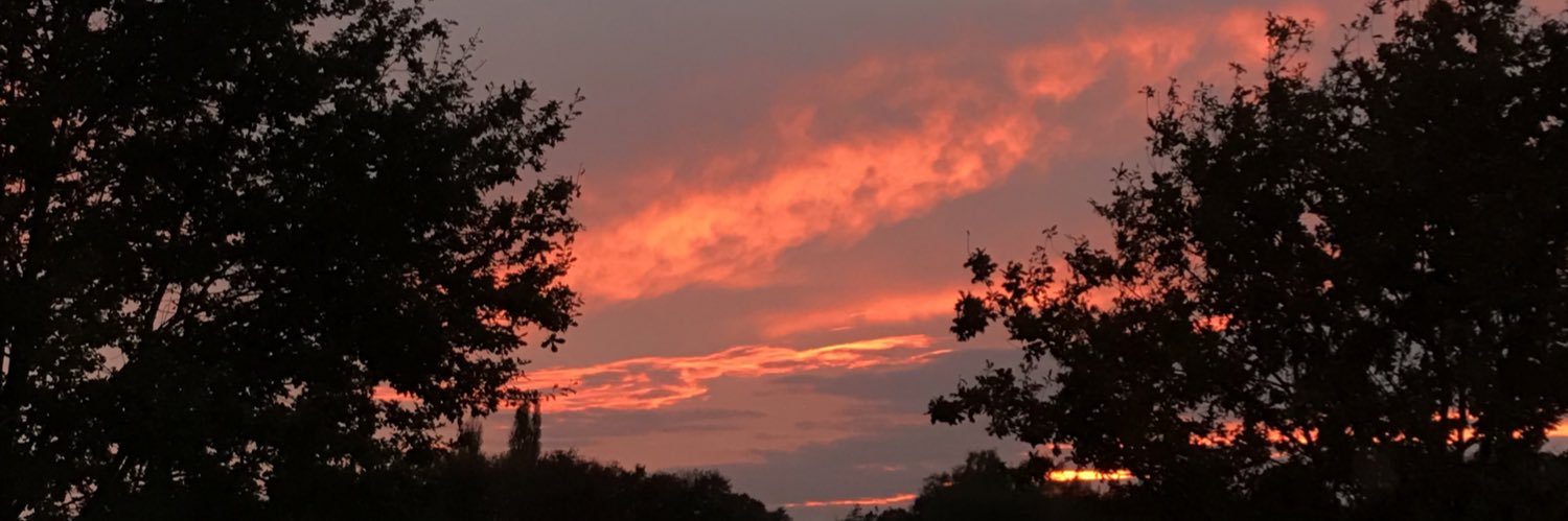Broosdt's profile banner image