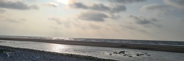 hazlated Profile Banner