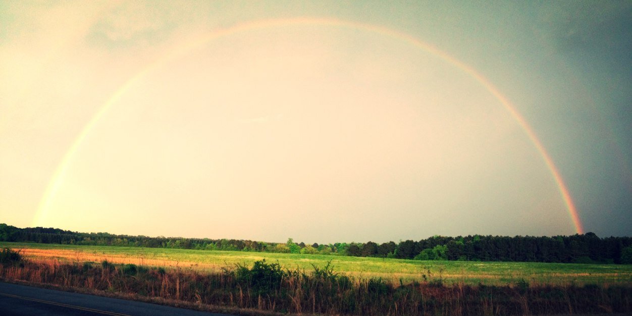 MariahMWhitaker's profile banner image