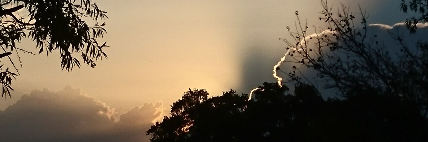 APeppelenbos's profile banner image