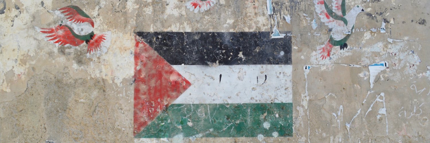 Realign For Palestine's banner